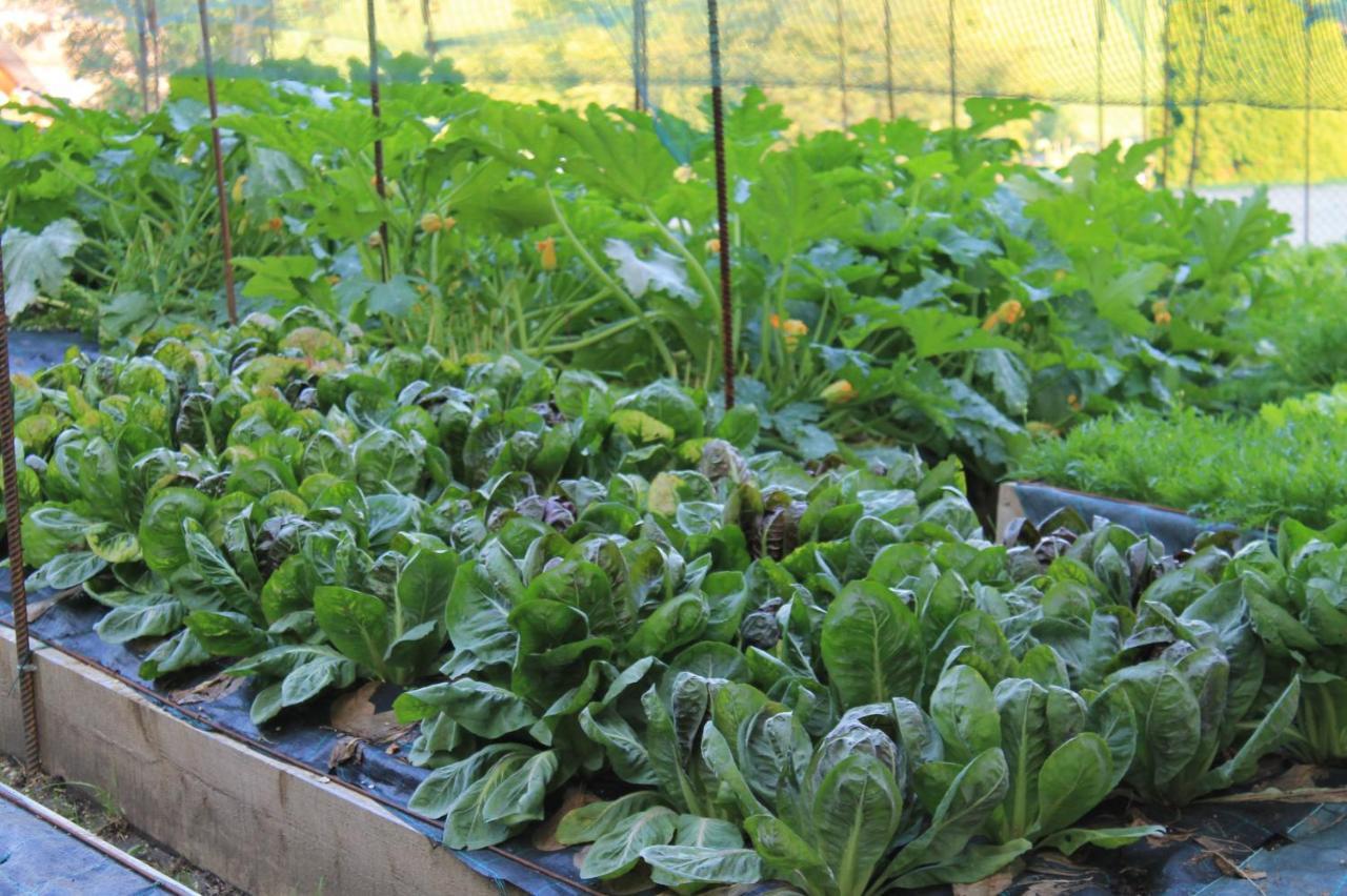 Villa Ciardi Wellness Hotel & Ristorante 阿西阿高 外观 照片